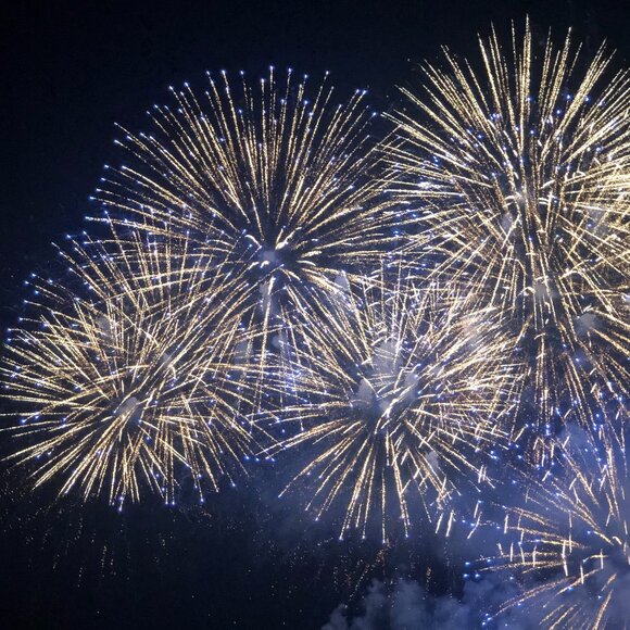 Unlisted Item. Shown on as is on Live Show. No Returns Accepted - Picture 1 of 1